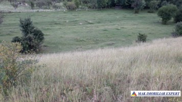 vand-teren-intravilan-5000-mp-flamanda-campulung-muscel-arges-cu-livada-si-vedere-panoramica